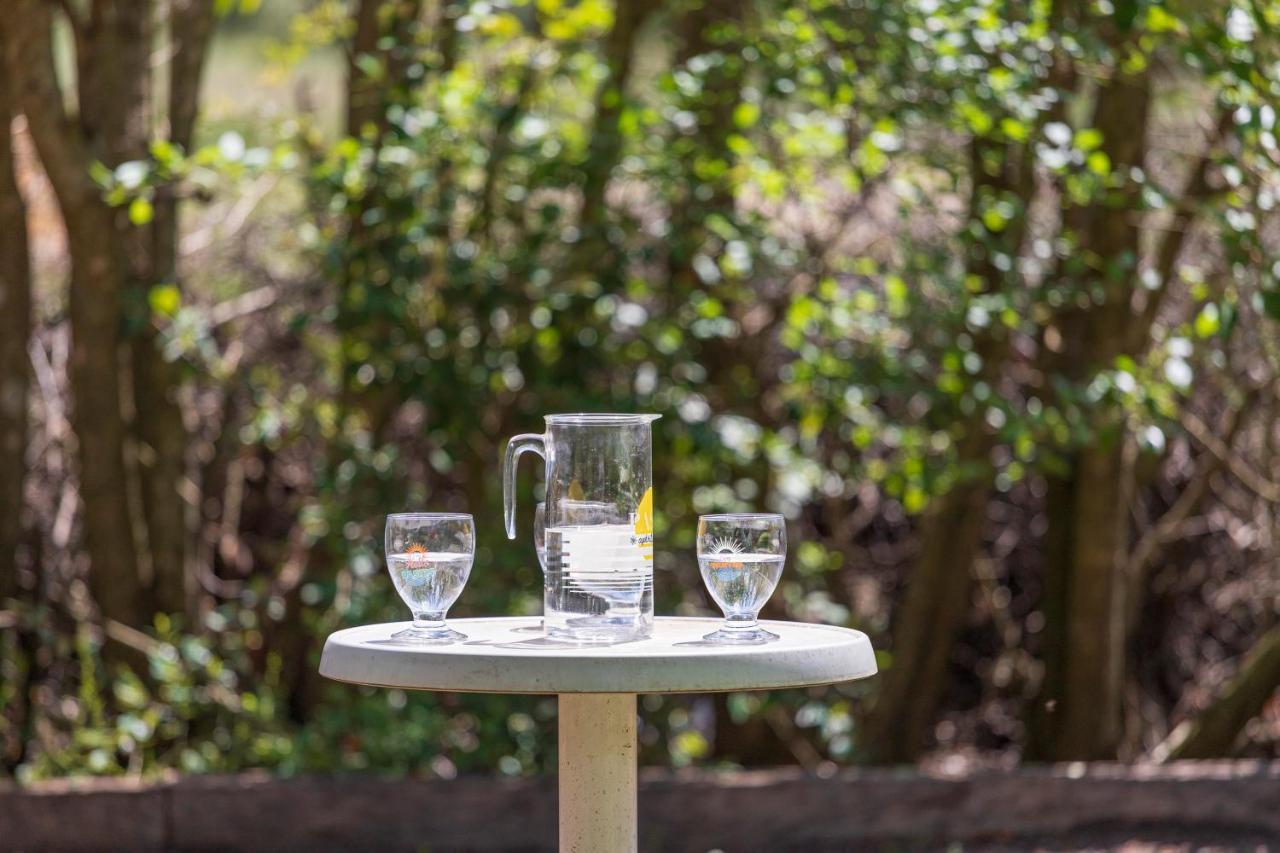 La Pampa En Provence - Les Suites Privatives Pontevès エクステリア 写真