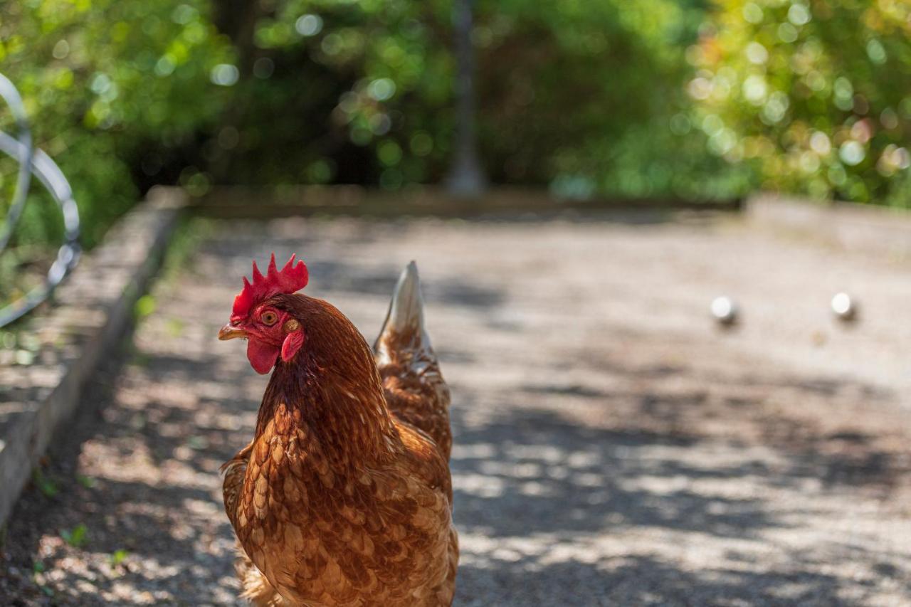 La Pampa En Provence - Les Suites Privatives Pontevès エクステリア 写真